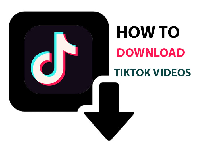 Best TikTok Downloaders of 2025 HD Video No Watermark